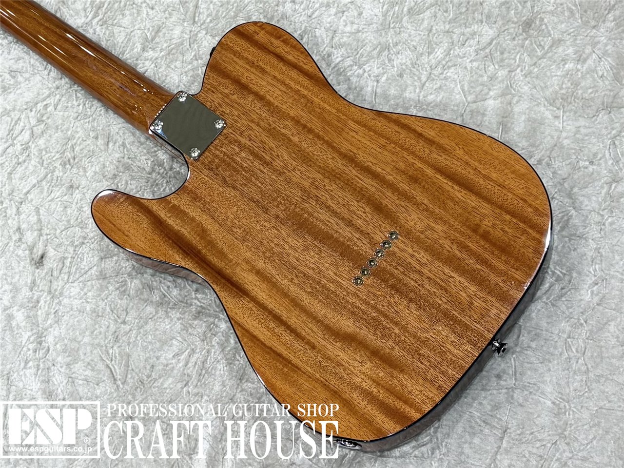 【即納可能】Tokai ATE-103S / Natural 渋谷店