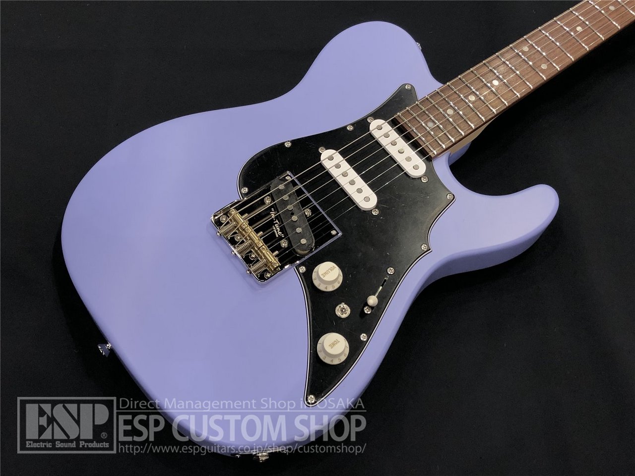 【即納可能/アウトレット】SAITO GUITARS SR-22T-Plus / Berry 大阪店【中古・アウトレット タイムセール開催中】