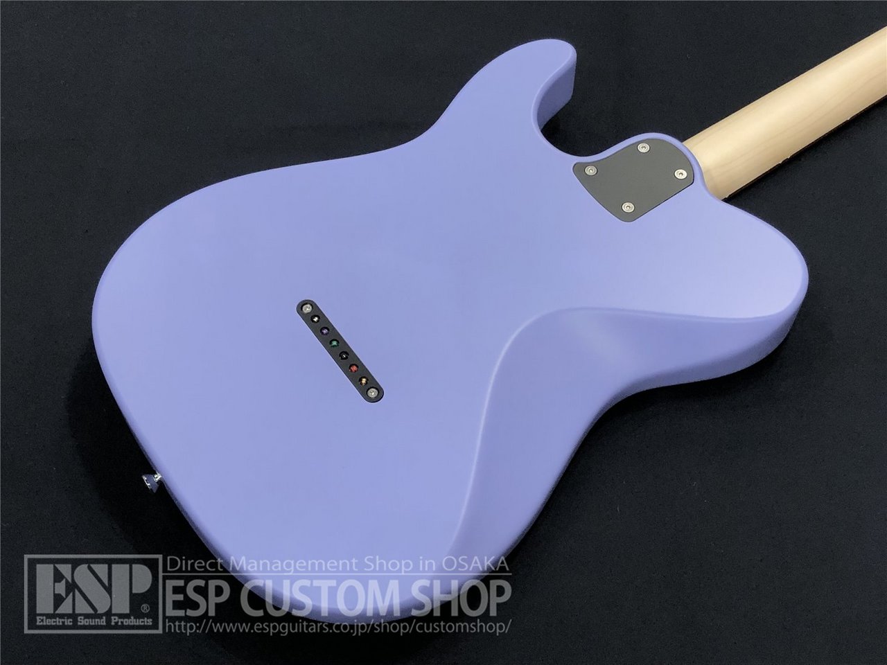 【即納可能/アウトレット】SAITO GUITARS SR-22T-Plus / Berry 大阪店【中古・アウトレット タイムセール開催中】