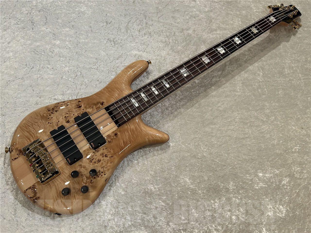 【即納可能】SPECTOR (スペクター) Euro 5 LX Poplar Burl / Natural Gloss 仙台店