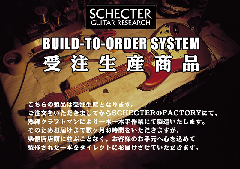 【受注生産】SCHECTER(シェクター) AR-07 / 3TSB (3 Tone Sunburst)【7弦ギター】