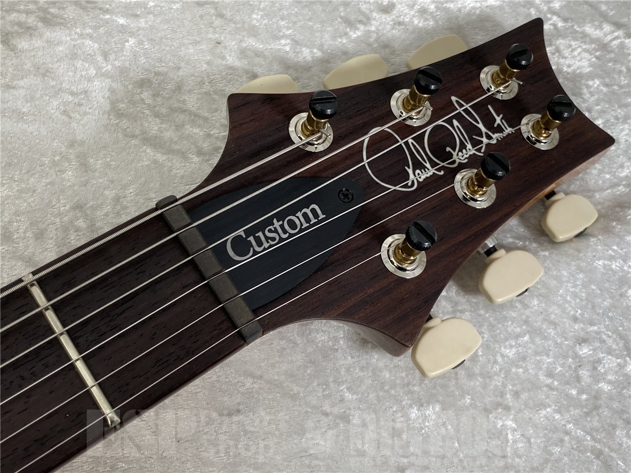 【即納可能】Paul Reed Smith(ポールリードスミス/PRS) Custom 24-08 10TOP / Aurora Borealis (2025年製  S/N 0405216)