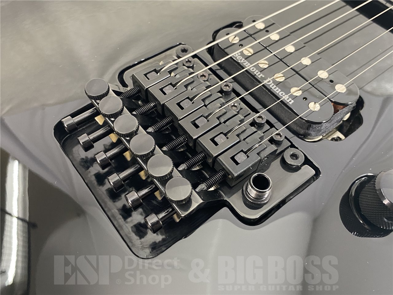 【お取寄せ商品】EDWARDS(エドワーズ) E-HORIZON-I / Black