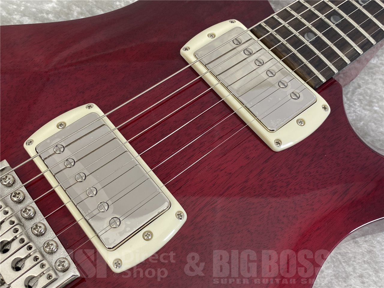 【即納可能】Paul Reed Smith(PRS/ポールリードスミス) SE DGT Standard / Vintage Cherry (2025年製) お茶の水駅前店(東京)