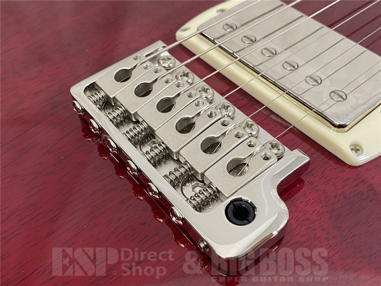 【即納可能】Paul Reed Smith(PRS/ポールリードスミス) SE DGT Standard / Vintage Cherry (2025年製) お茶の水駅前店(東京)