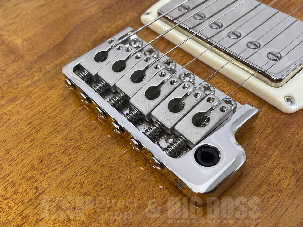 【即納可能】Paul Reed Smith(PRS/ポールリードスミス) SE DGT STANDARD / McCarty Tobacco Sunburst (2025年製) お茶の水駅前店(東京)