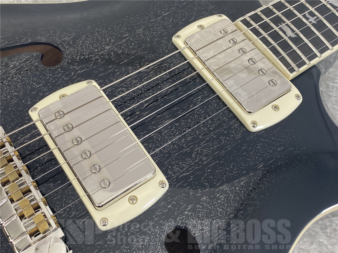 【即納可能】Paul Reed Smith(PRS/ポールリードスミス) SE Hollowbody Standard / Dog Hair Smokeburst (2025年製) お茶の水駅前店(東京)