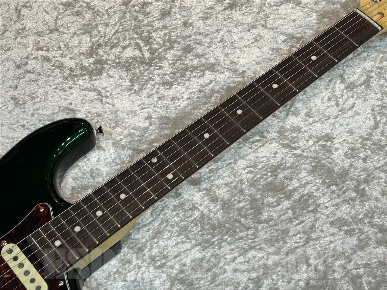 【即納可能】FUJIGEN (フジゲン)  NST110RAL (Candy Apple Green) 広島店