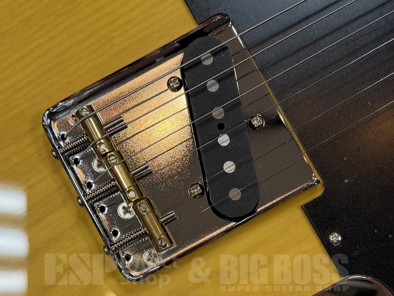 【即納可能】EDWARDS(エドワーズ) E-TE-ASM / Butter Scotch GWS