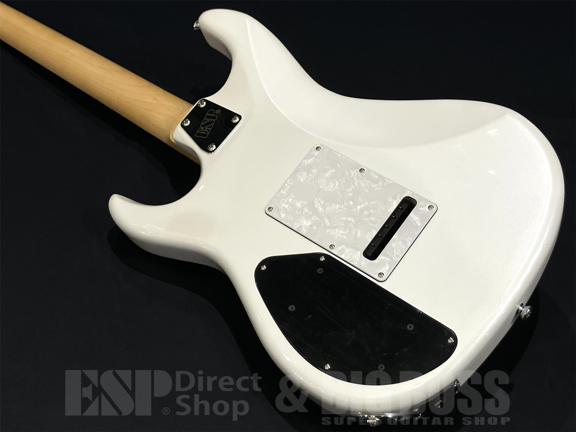 【即納可能】EDWARDS(エドワーズ) E-SNAPPER-GK-AL/R / Pearl White 京都店