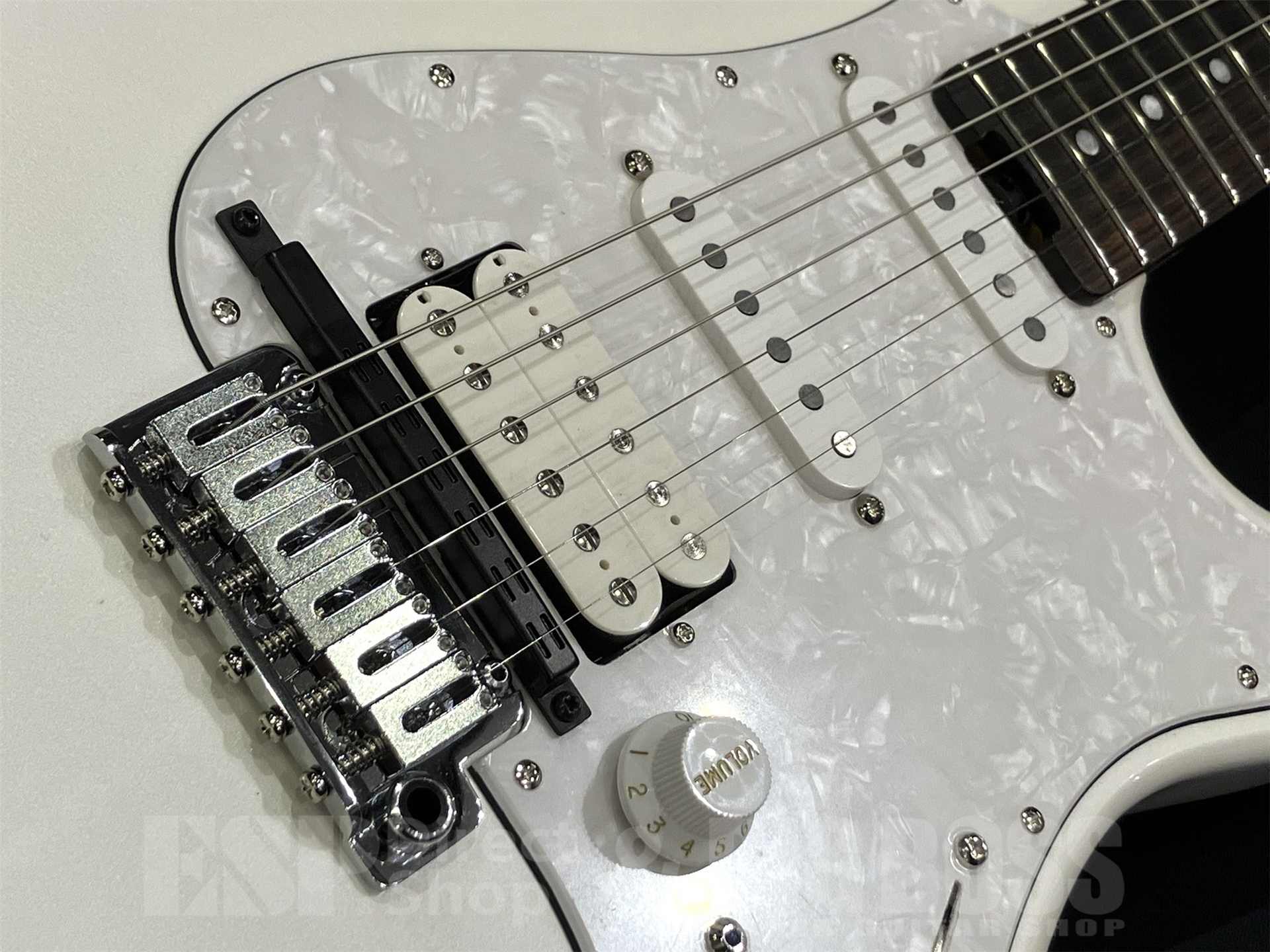 【即納可能】EDWARDS(エドワーズ) E-SNAPPER-GK-AL/R / Pearl White 京都店