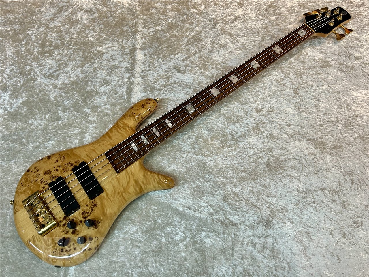 【中古品/即納可能】Spector(スペクター) EURO LX5 Poplar Burl (Natural Gloss) 広島店 【中古・アウトレット タイムセール対象商品｜2025年11月4日～14日までの限定価格！】