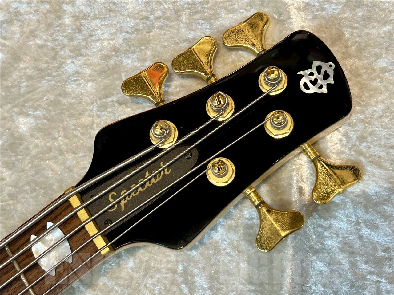 中古品/即納可能】Spector(スペクター) EURO LX5 Poplar Burl (Natural