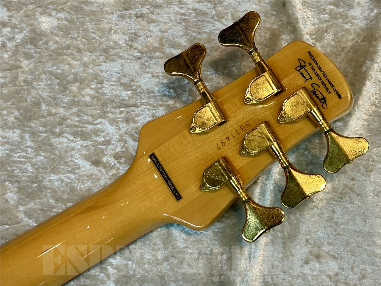 中古品/即納可能】Spector(スペクター) EURO LX5 Poplar Burl (Natural