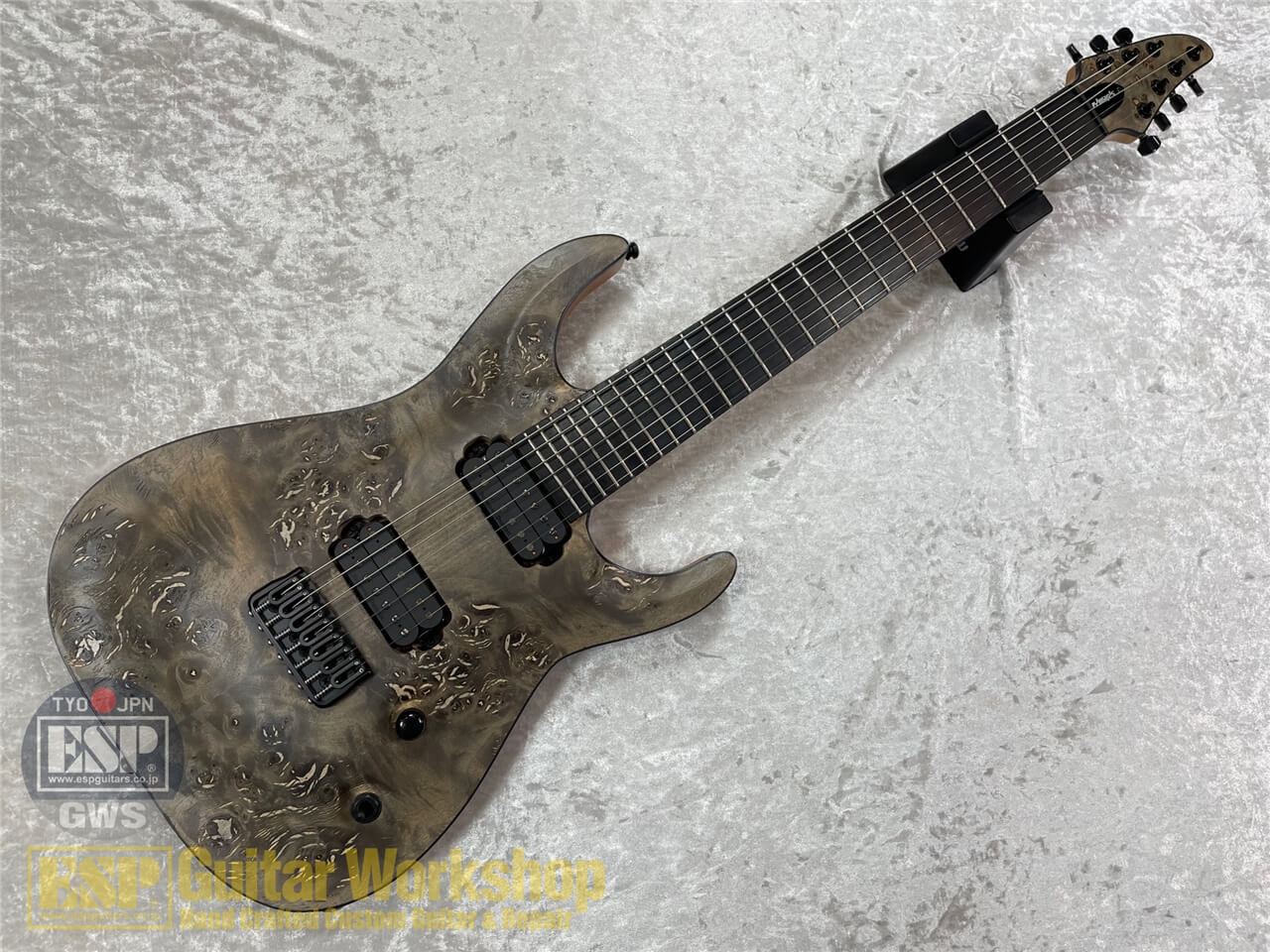 【即納可能】EDWARDS(エドワーズ) E-HR7-FX/BM / Ash Black GWS