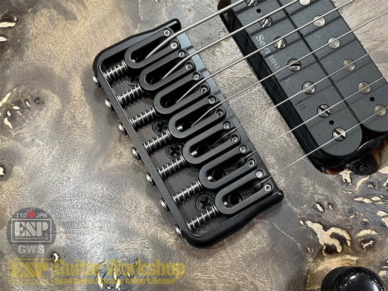 【即納可能】EDWARDS(エドワーズ) E-HR7-FX/BM / Ash Black GWS