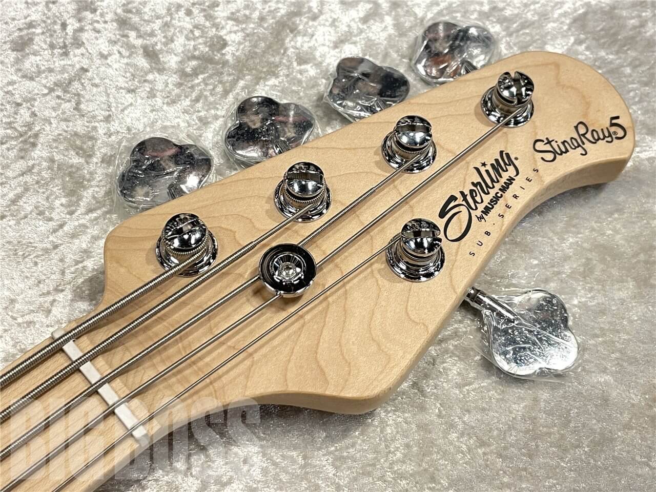 【即納可能】Sterling by MUSIC MAN（スターリンバイミュージックマン）SUB Series StingRay Ray 5（Black）　名古屋店