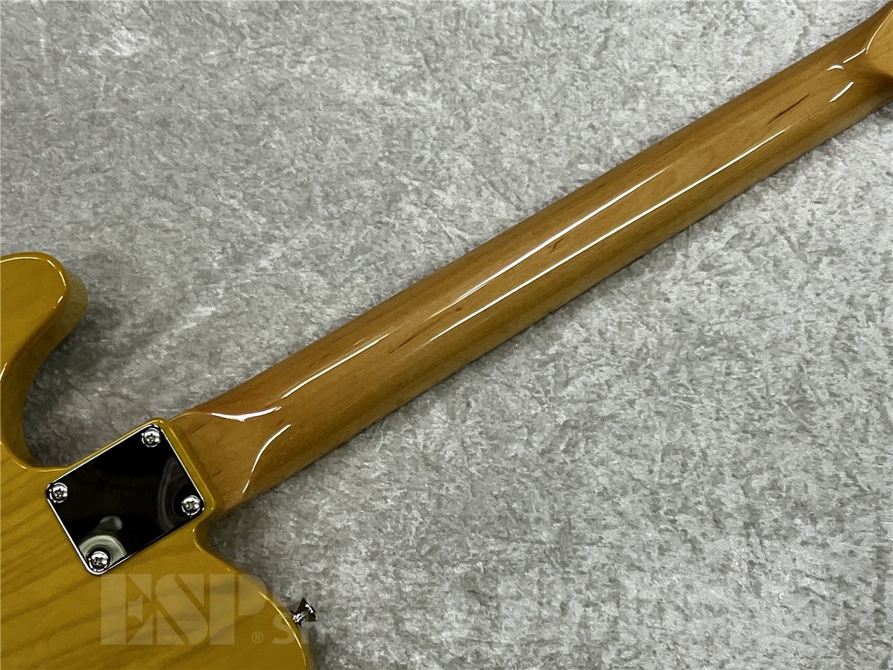 【即納可能】EDWARDS(エドワーズ) E-TE-ASM / Butter Scotch 広島店