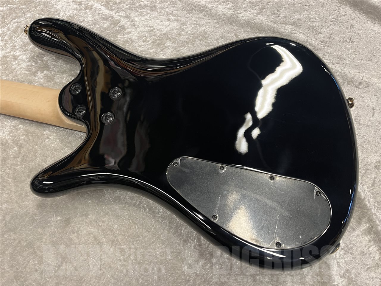 【即納可能】Spector（スペクター）NS-2 ICON BOLT-ON（Black Stain）　名古屋店