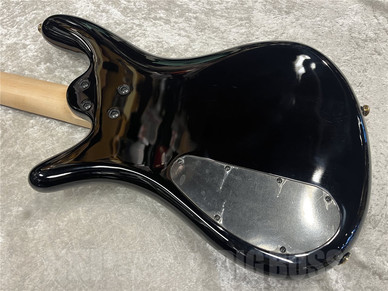 【即納可能】Spector(スペクター)NS-2 ICON BOLT-ON(Black Cherry) 名古屋店