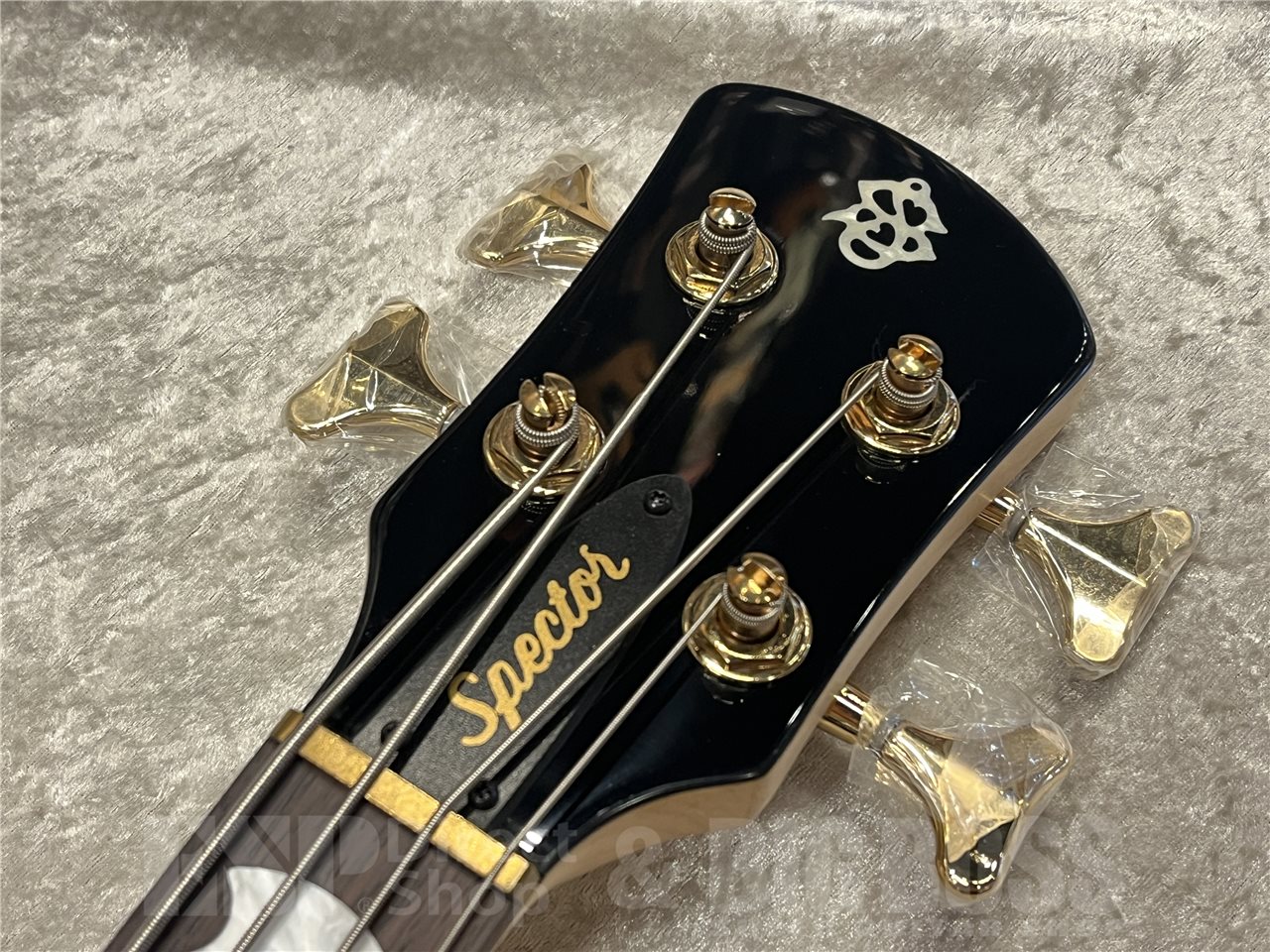 【即納可能】Spector(スペクター)NS-2 ICON BOLT-ON(Black Cherry) 名古屋店