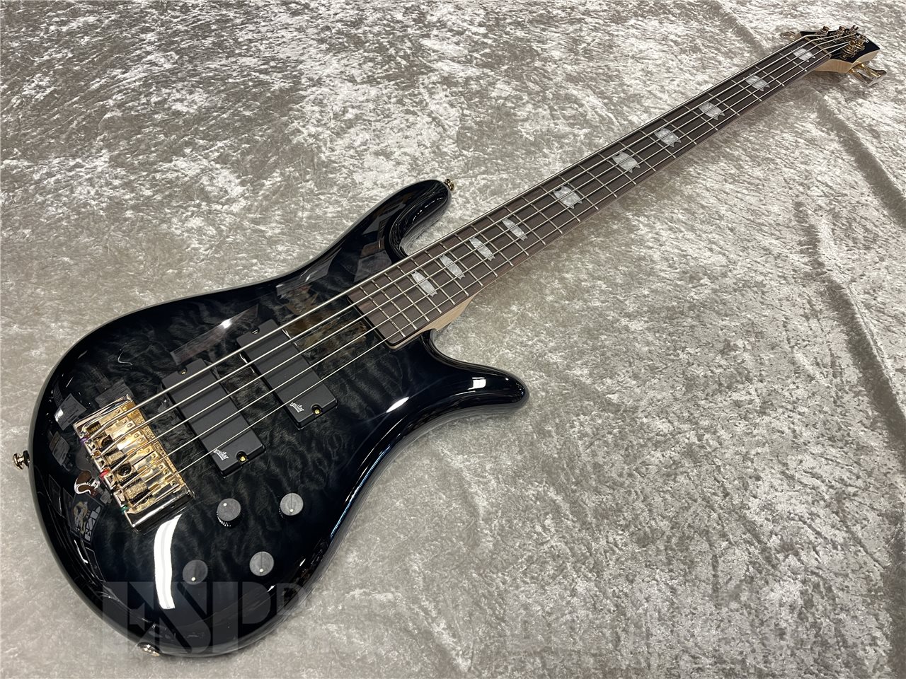 【即納可能】Spector（スペクター）NS-5 ICON BOLT-ON（Black Stain）　名古屋店