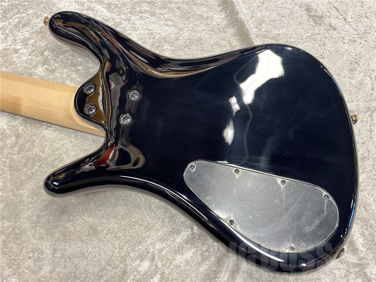 【即納可能】Spector（スペクター）NS-5 ICON BOLT-ON（Black Stain）　名古屋店