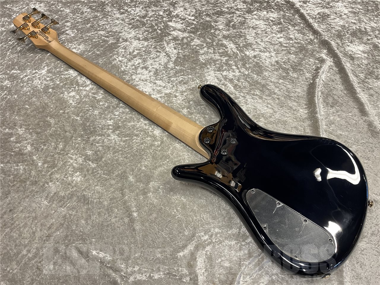 【即納可能】Spector（スペクター）NS-5 ICON BOLT-ON（Black Stain）　名古屋店