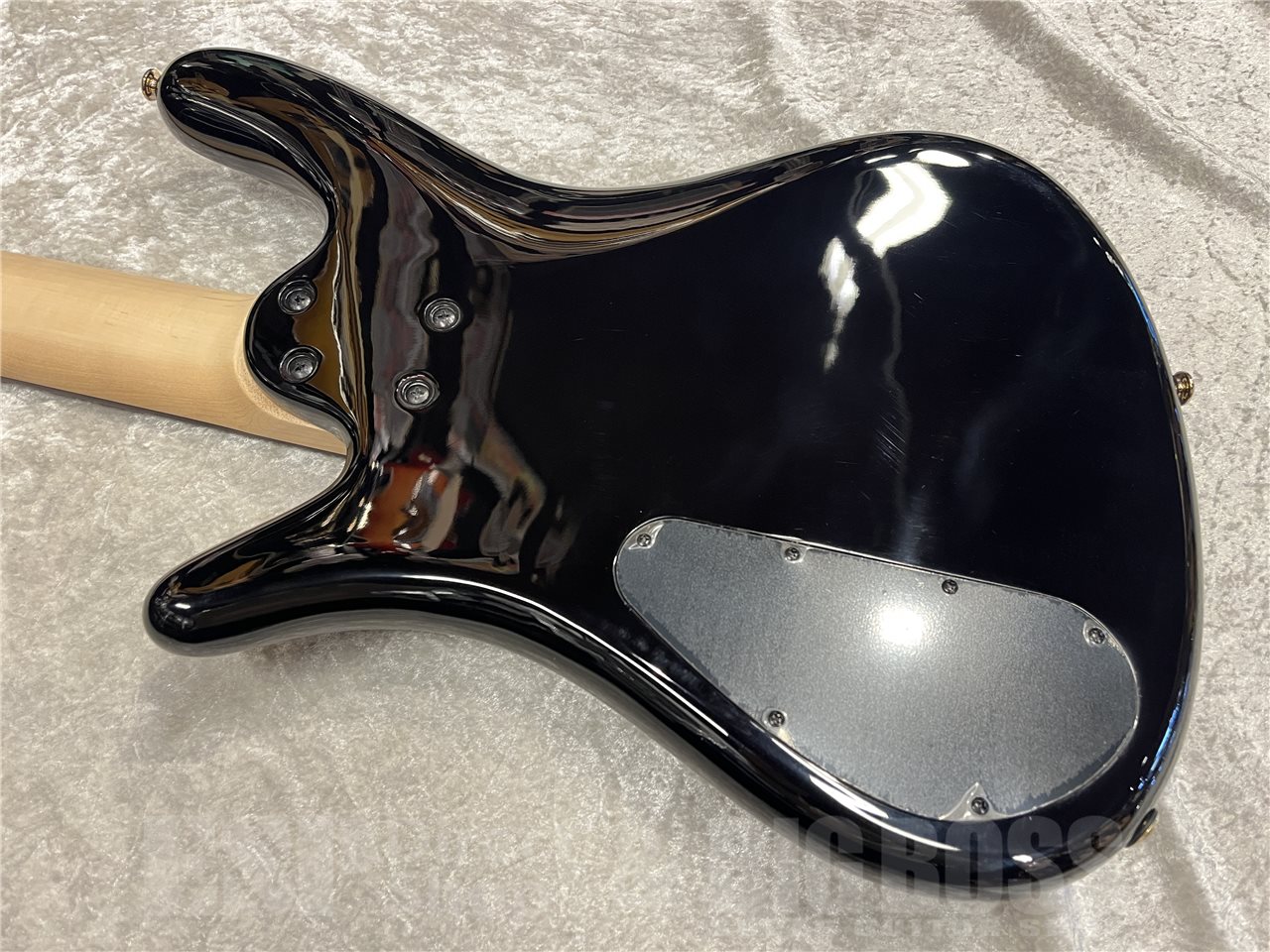 【即納可能】Spector（スペクター）NS-5 ICON BOLT-ON（Black Cherry）　名古屋店