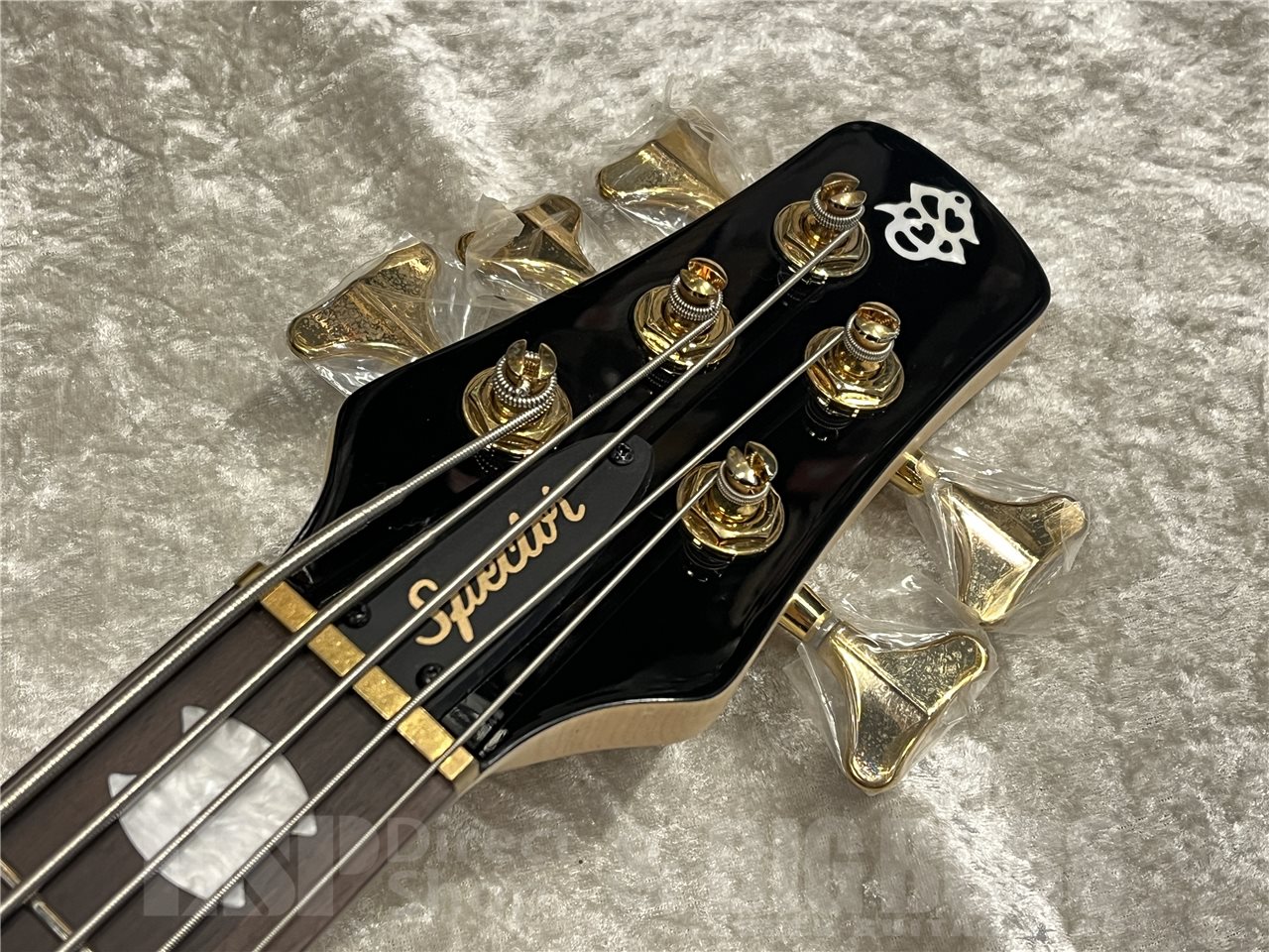 【即納可能】Spector（スペクター）NS-5 ICON BOLT-ON（Black Cherry）　名古屋店