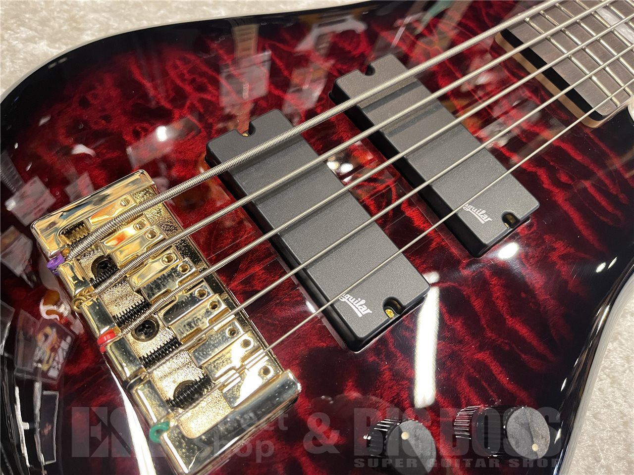 【即納可能】Spector（スペクター）NS-5 ICON BOLT-ON（Black Cherry）　名古屋店