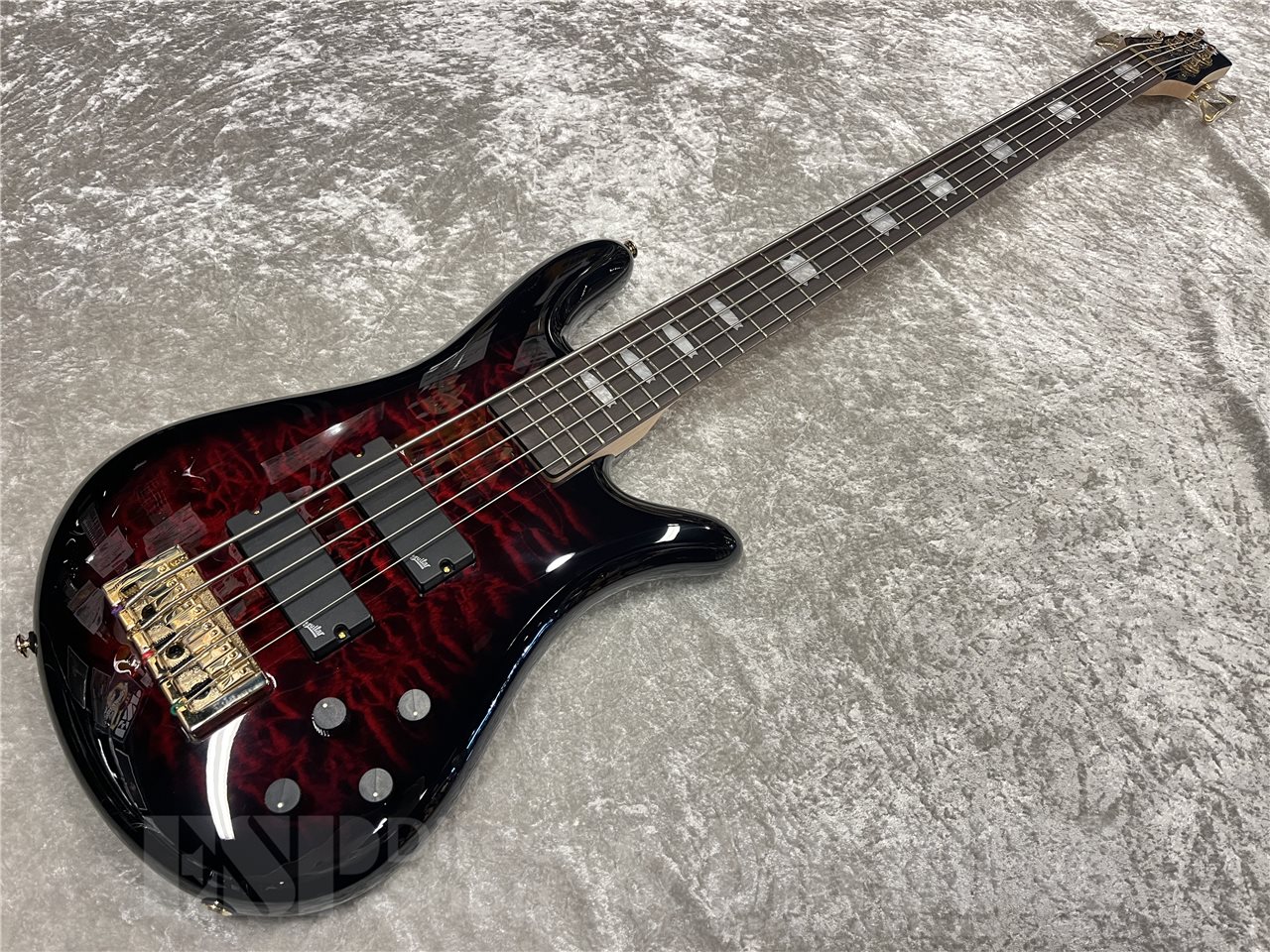 【即納可能】Spector（スペクター）NS-5 ICON BOLT-ON（Black Cherry）　名古屋店