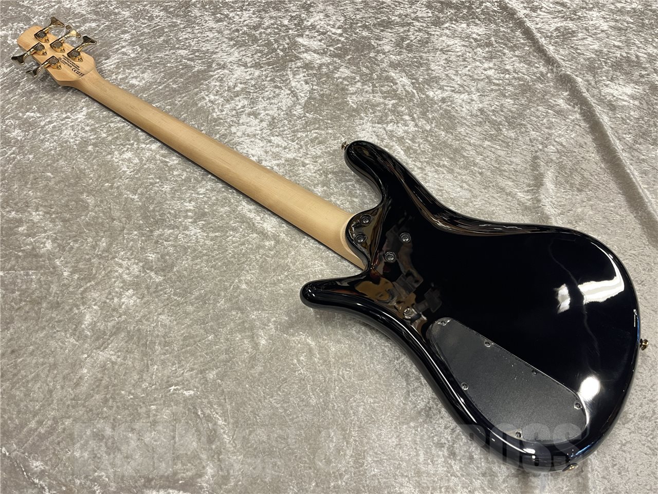 【即納可能】Spector（スペクター）NS-5 ICON BOLT-ON（Black Cherry）　名古屋店