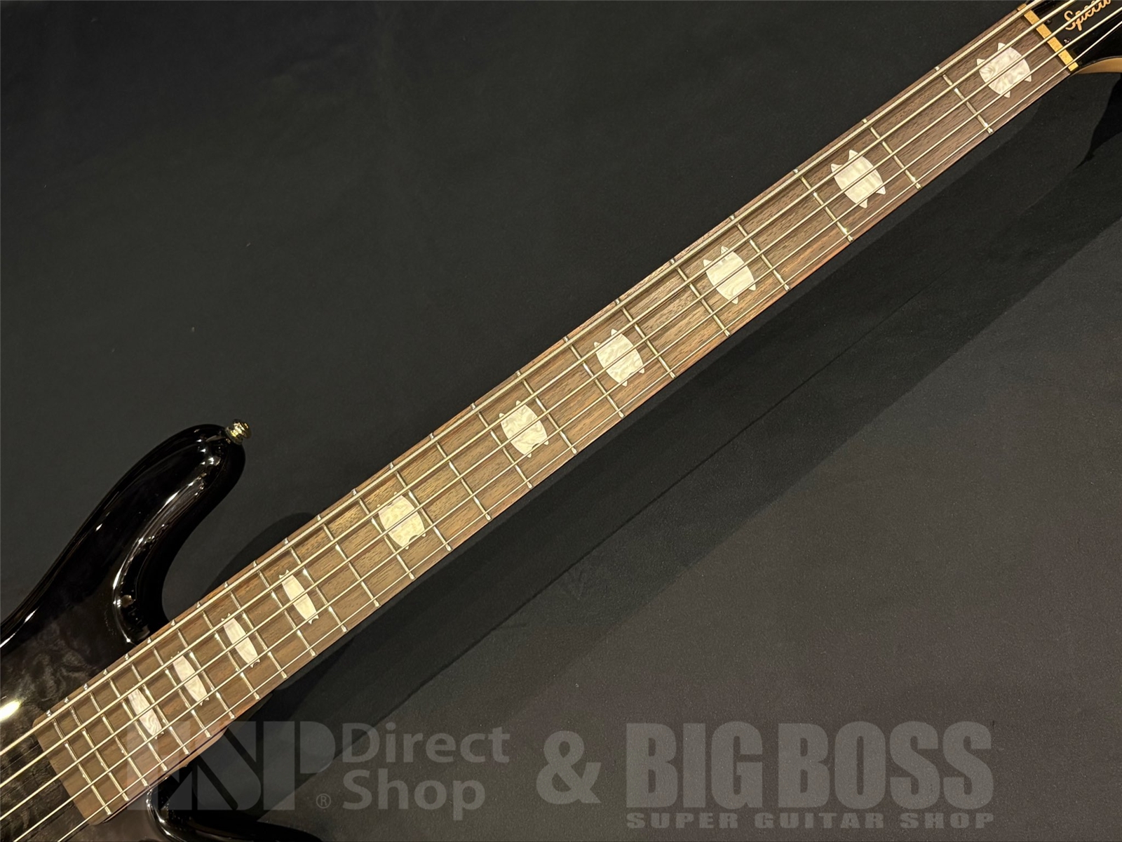 【即納可能】Spector(スペクター) NS Icon Bolt-On 5 / Black Stain 京都店