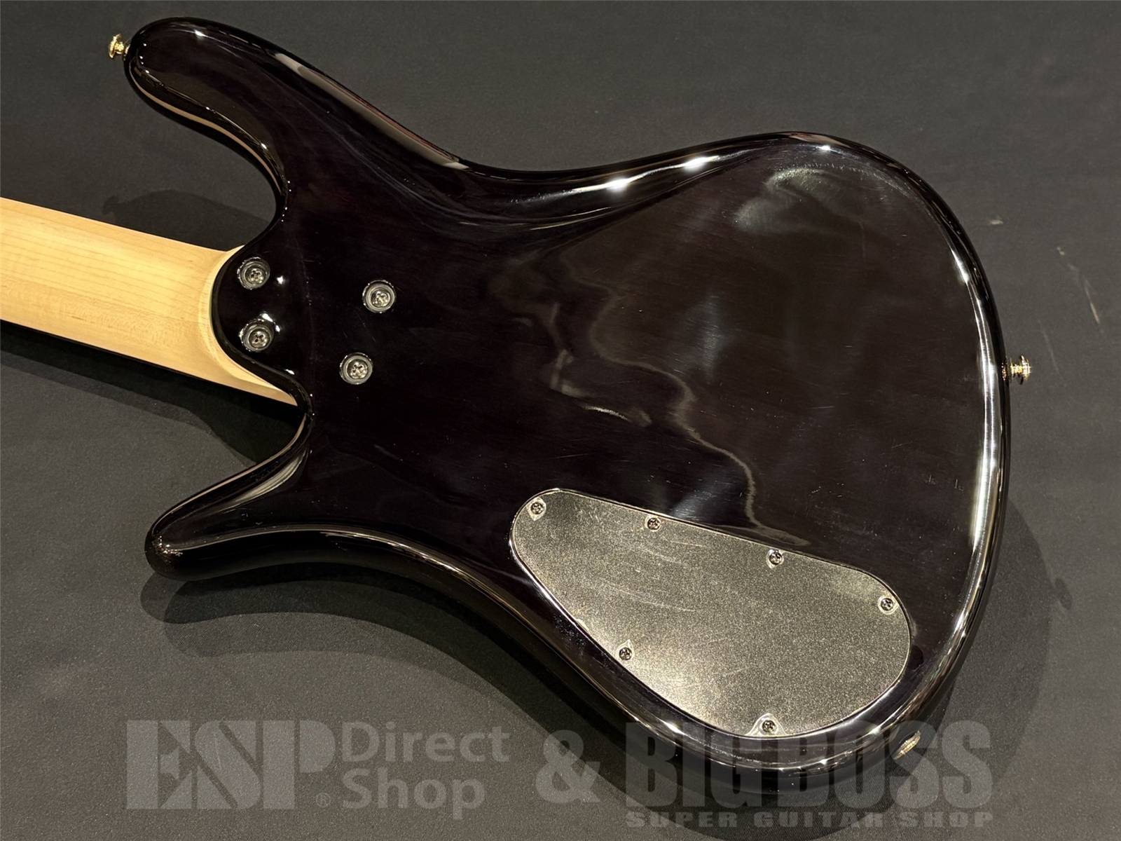 【即納可能】Spector(スペクター) NS Icon Bolt-On 5 / Black Stain 京都店