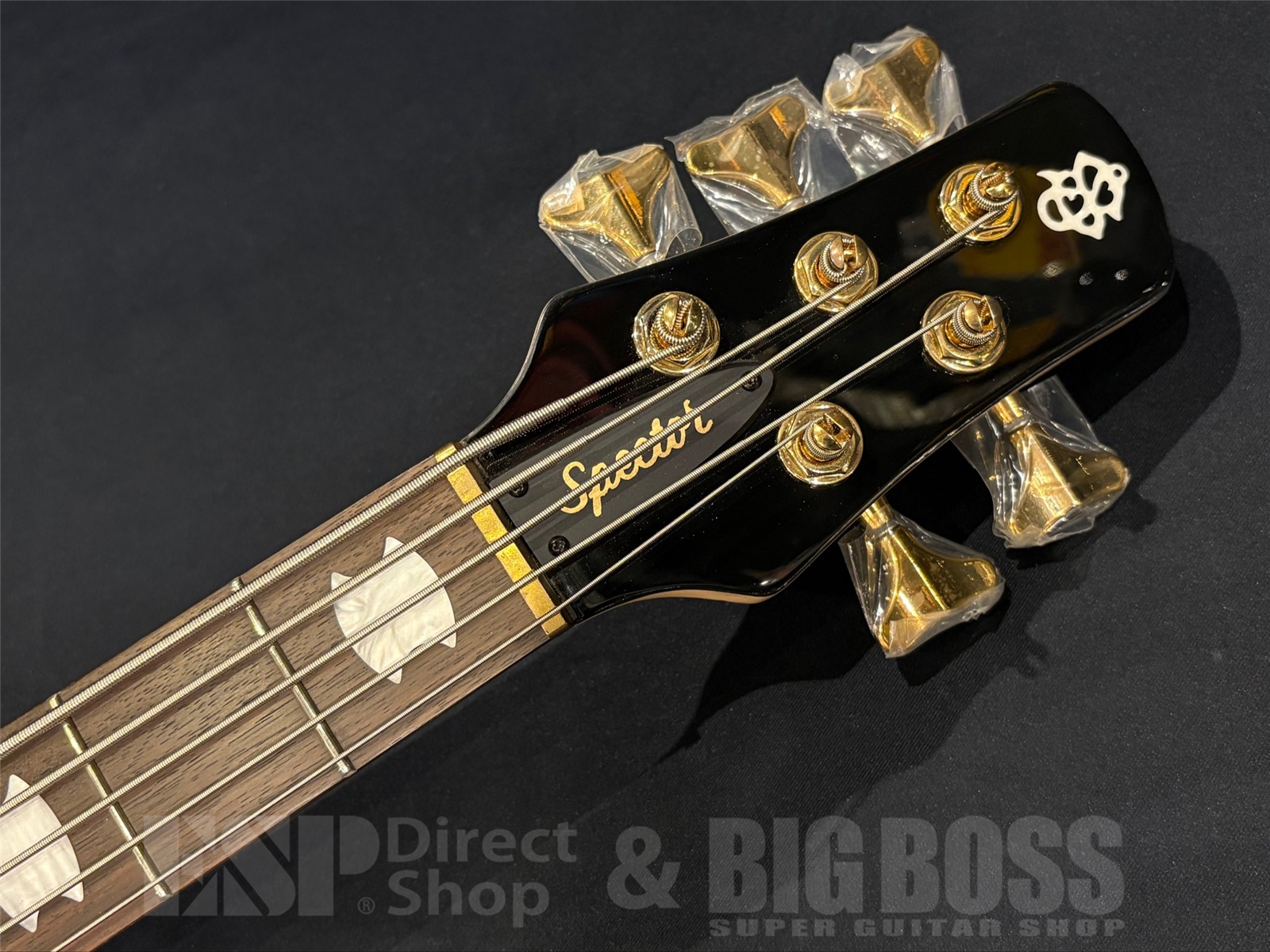 【即納可能】Spector(スペクター) NS Icon Bolt-On 5 / Black Stain 京都店