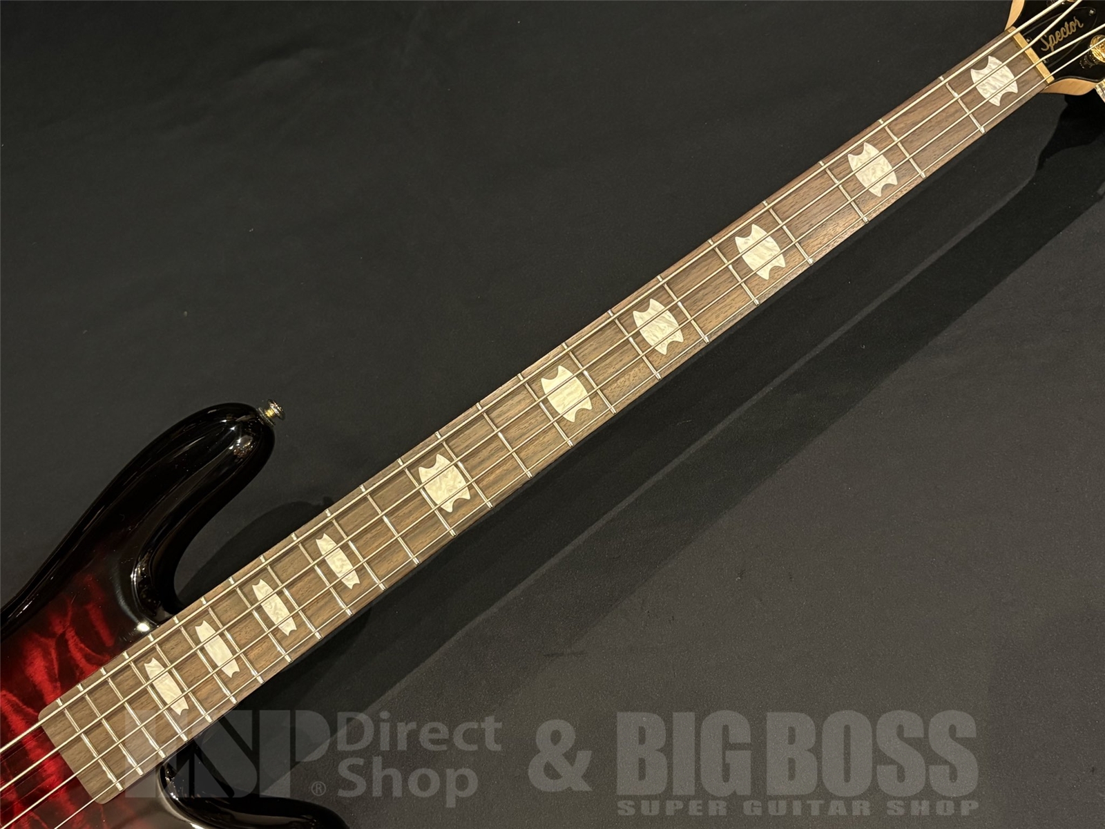 【即納可能】Spector(スペクター) NS Icon Bolt-On 4 / Black Cherry 京都店