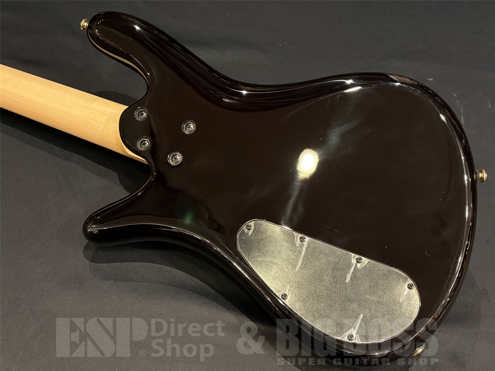 【即納可能】Spector(スペクター) NS Icon Bolt-On 4 / Black Cherry 京都店