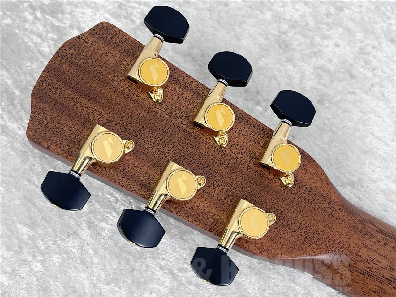 【即納可能】Morris(モーリス) SC-71    (アコースティックギター)お茶の水駅前店・別館