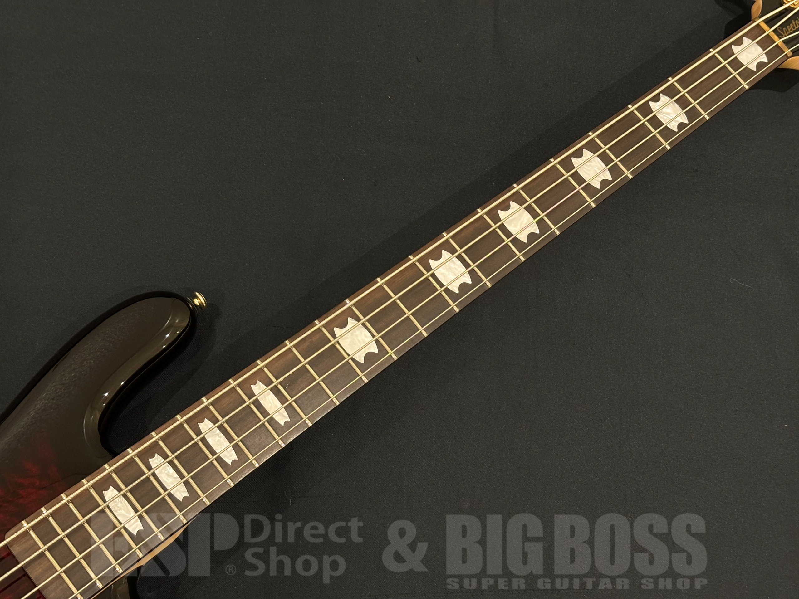 【即納可能】Spector(スペクター) NS Icon Bolt-On 4 / Black Cherry 大阪店