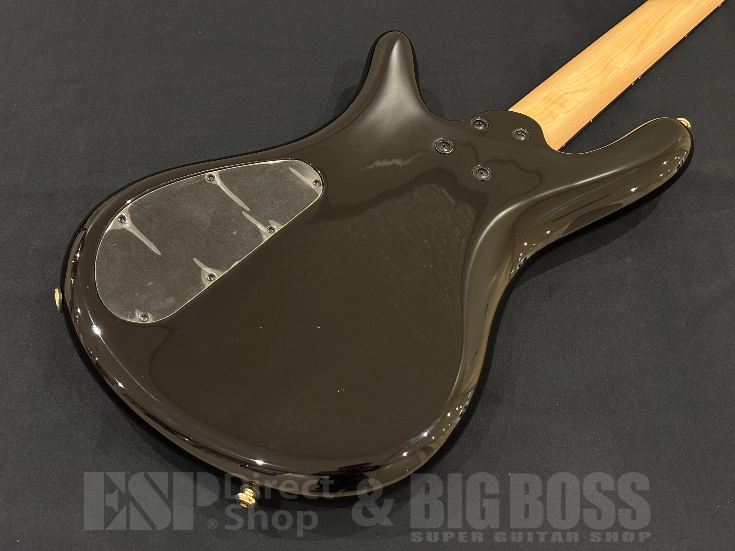 【即納可能】Spector(スペクター) NS Icon Bolt-On 4 / Black Cherry 大阪店