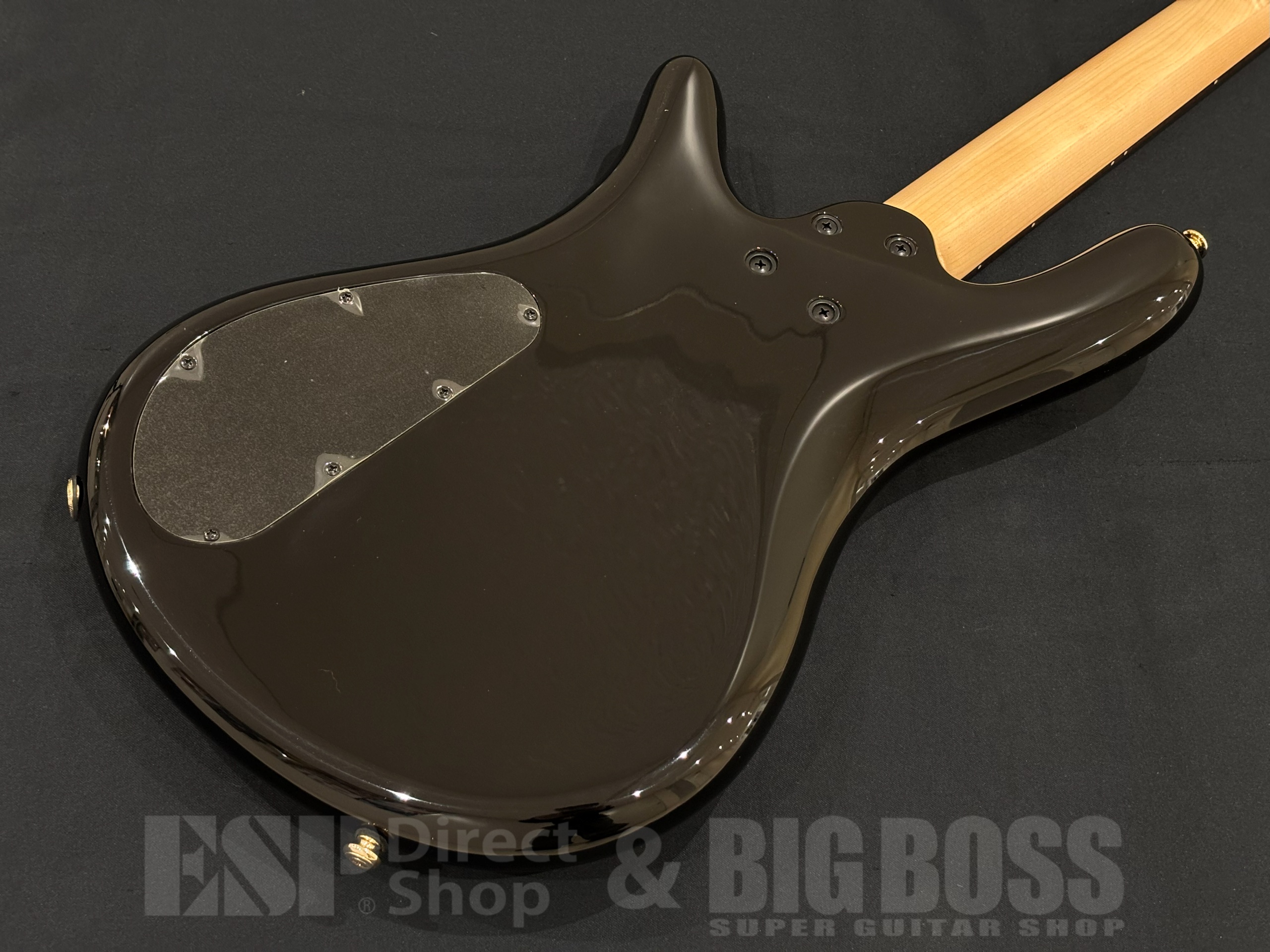 【即納可能】Spector(スペクター) NS Icon Bolt-On 4 / Black Stain 大阪店