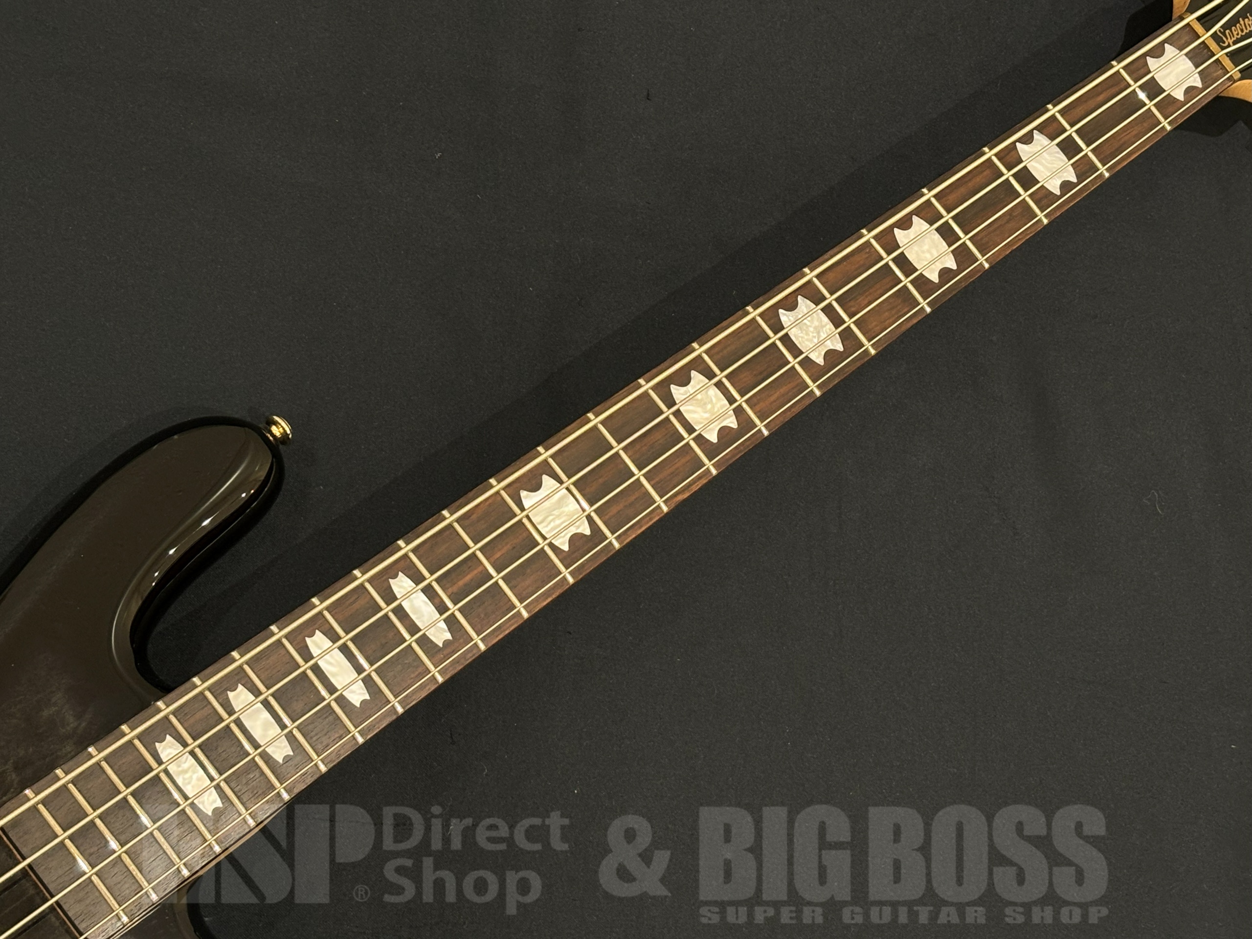 【即納可能】Spector(スペクター) NS Icon Bolt-On 4 / Black Stain 大阪店