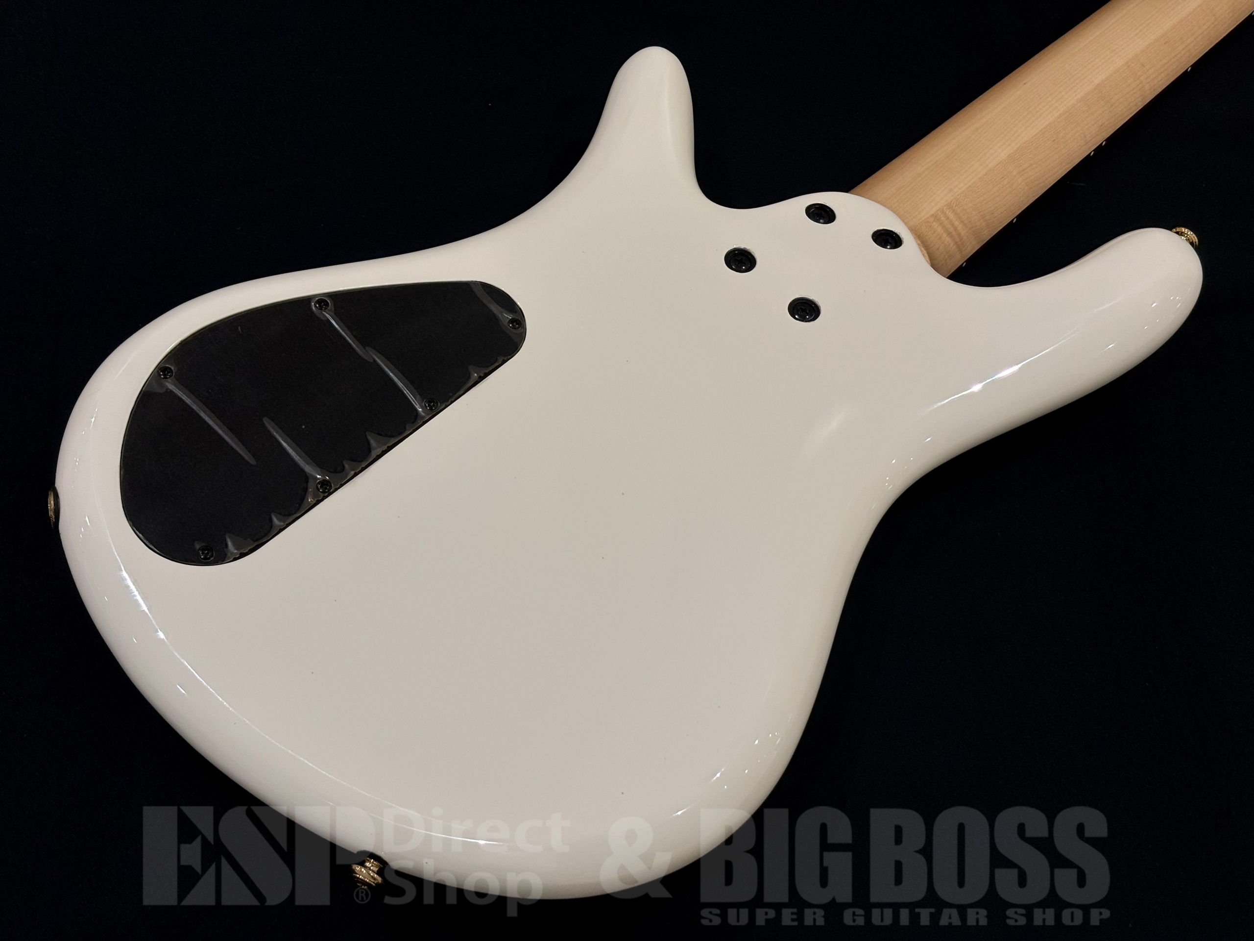 【即納可能】Spector(スペクター) NS Icon Bolt-On 5 / White 大阪店