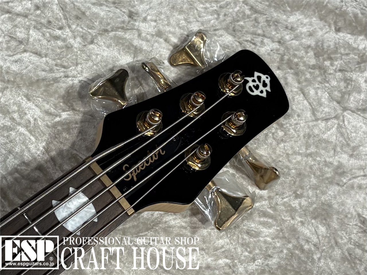 【即納可能】Spector / NS-5 ICON BOLT-ON / Black Stain Gloss 渋谷店