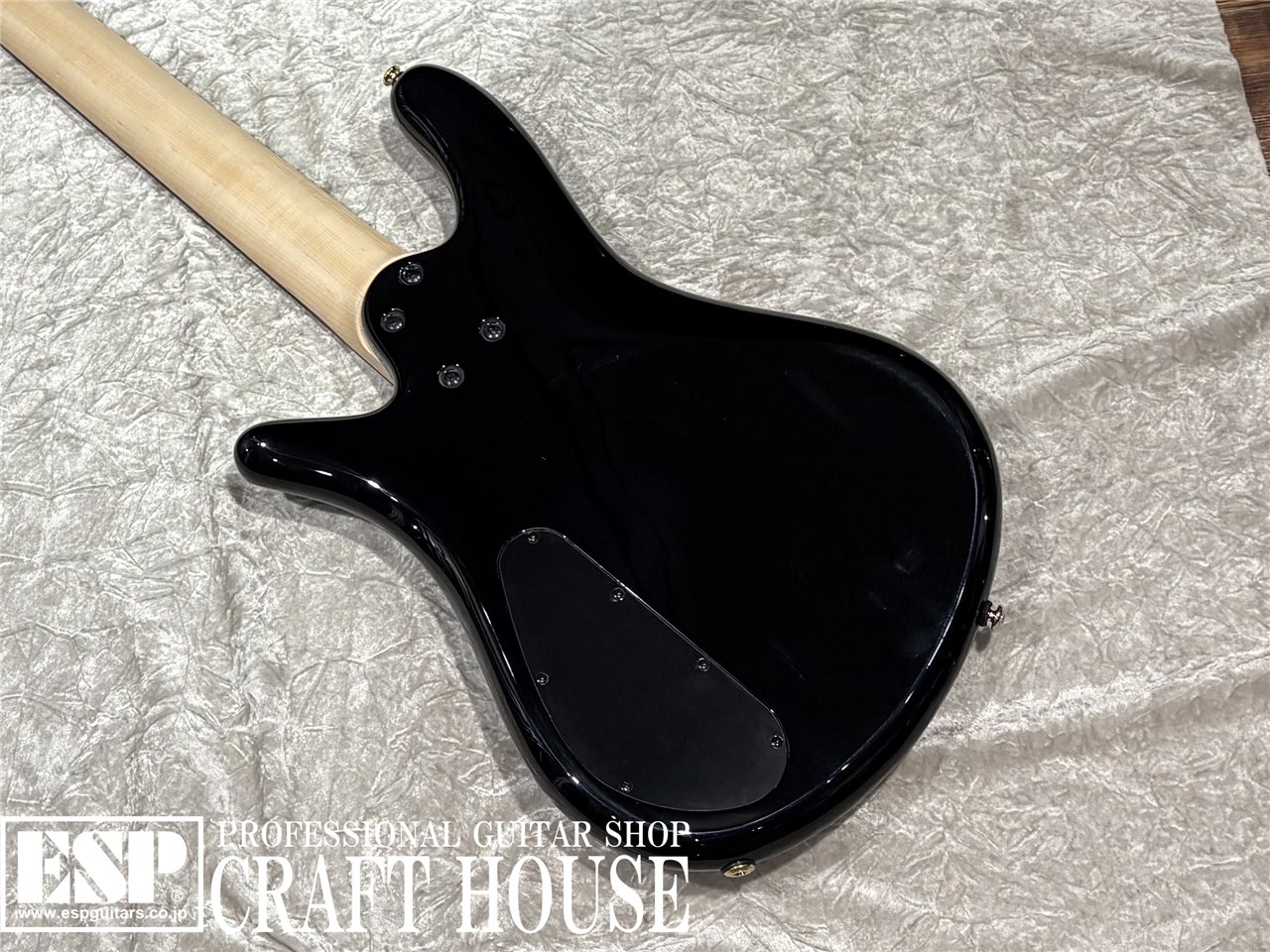 【即納可能】Spector / NS-5 ICON BOLT-ON / Black Stain Gloss 渋谷店