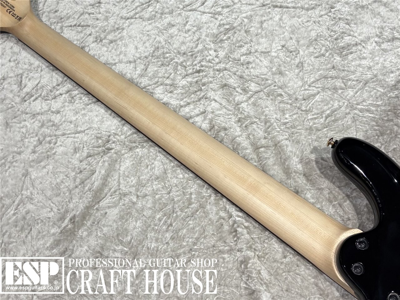 【即納可能】Spector / NS-5 ICON BOLT-ON / Black Stain Gloss 渋谷店