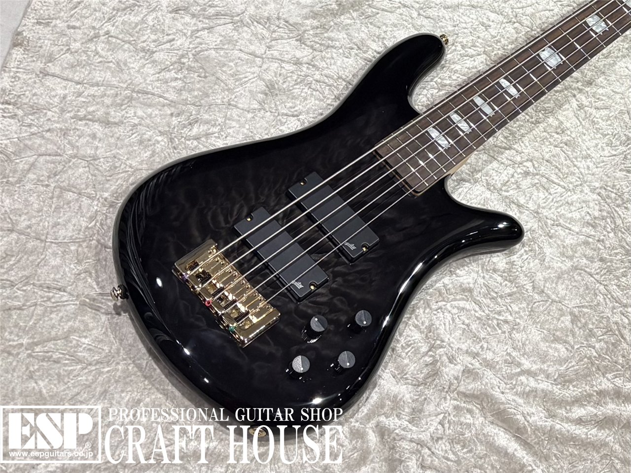 【即納可能】Spector / NS-5 ICON BOLT-ON / Black Stain Gloss 渋谷店