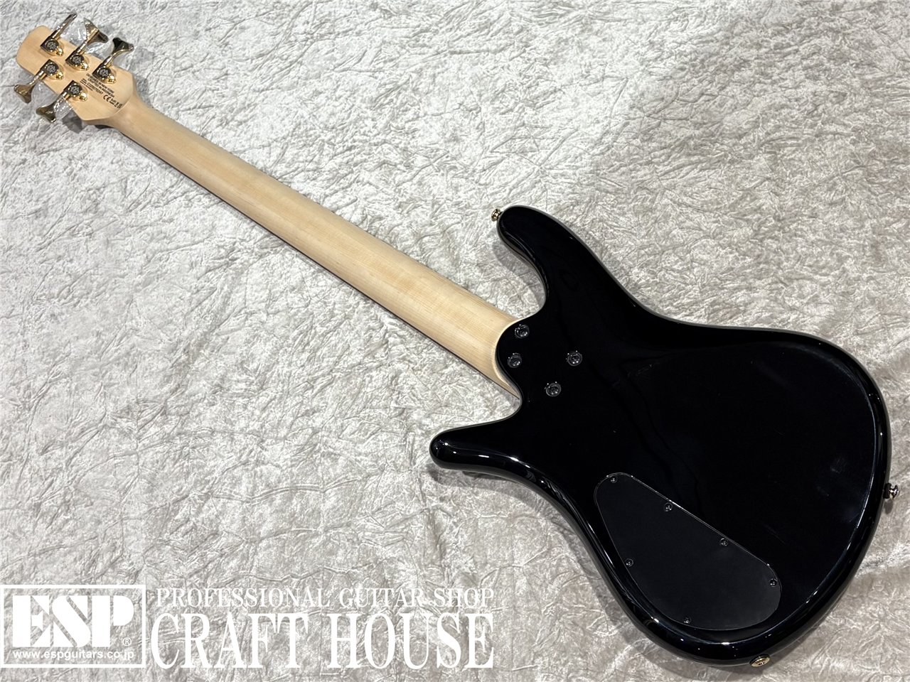 【即納可能】Spector / NS-5 ICON BOLT-ON / Black Stain Gloss 渋谷店