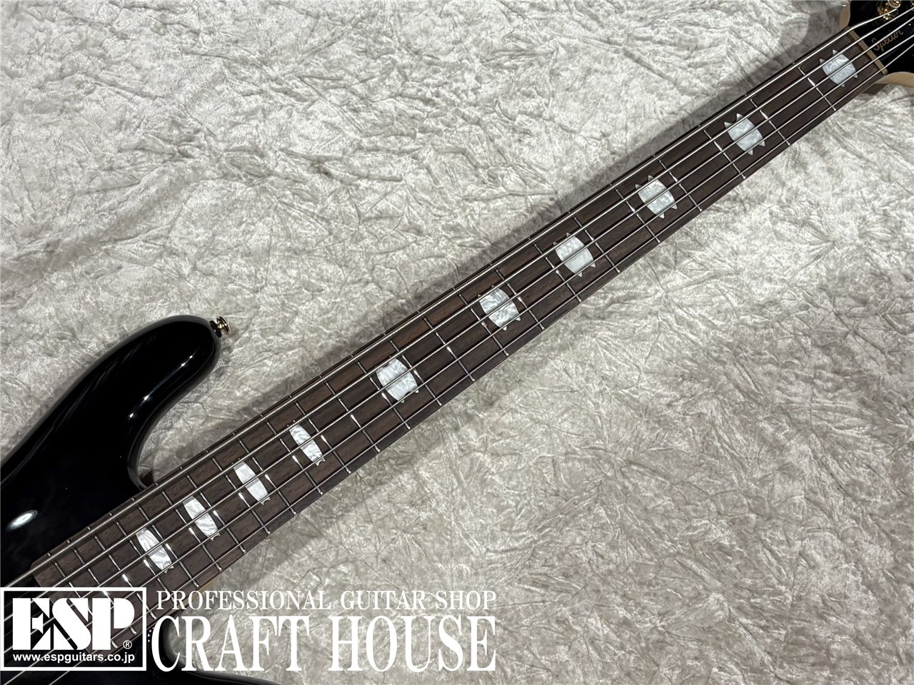 【即納可能】Spector / NS-5 ICON BOLT-ON / Black Stain Gloss 渋谷店